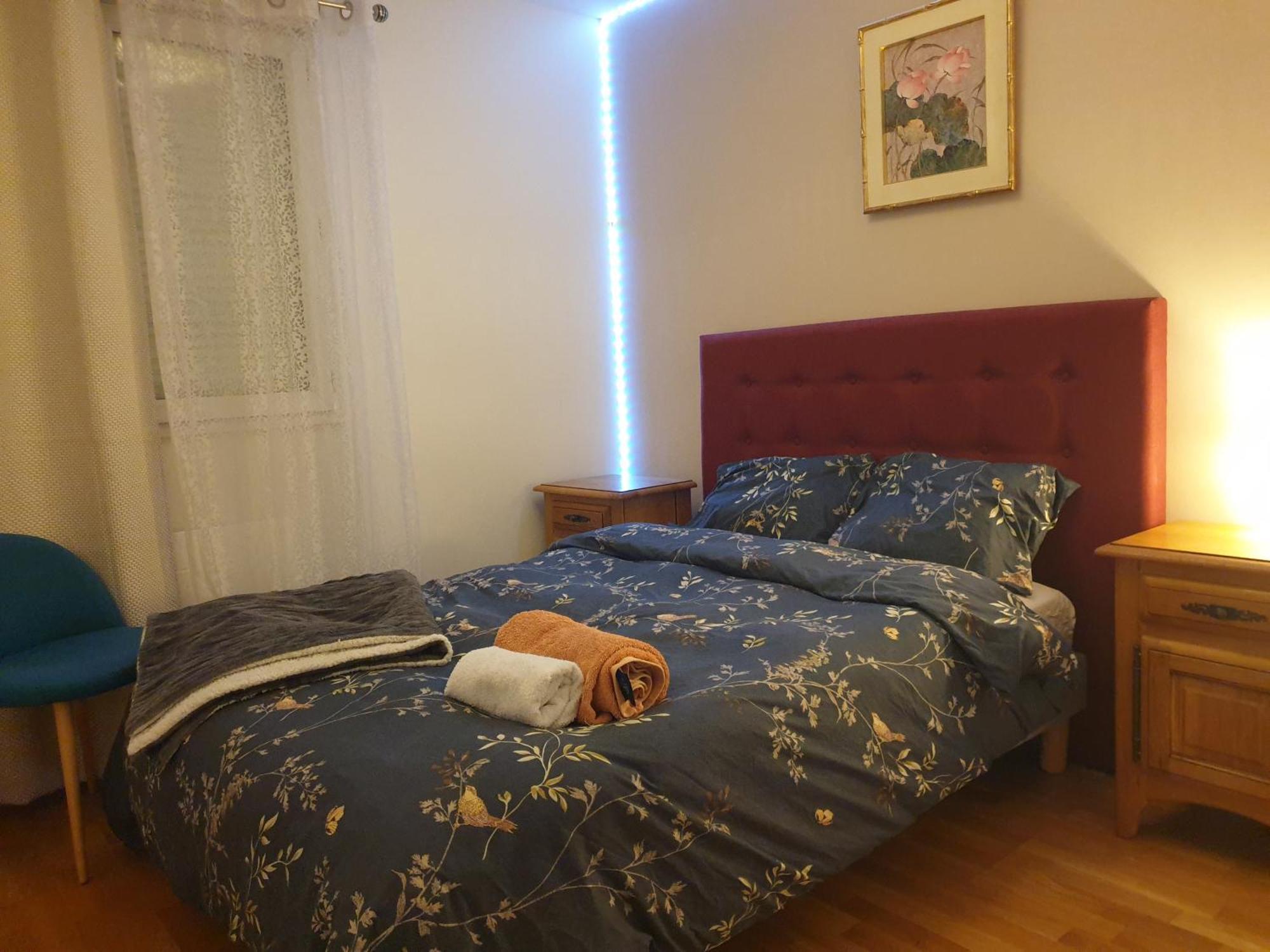 Spacieux Et Calme, Style Parisien, Toutes Commodites, Ideal Pour Un Sejour Authentique Saint-Denis  Room photo